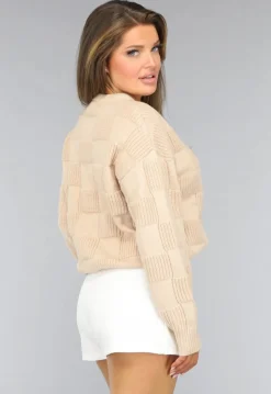 Beige Geblokte Trui