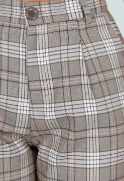 Beige Geruite Pantalon Straight Leg