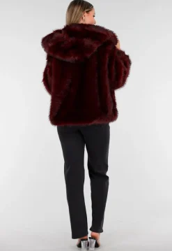 Bordeaux Bontjas met Capuchon