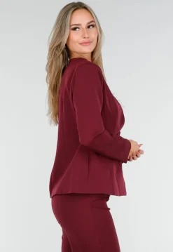 Bordeauxrode Blazer met Diepe Halslijn en Getailleerde Pasvorm