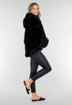Bruine Bontjas met Capuchon