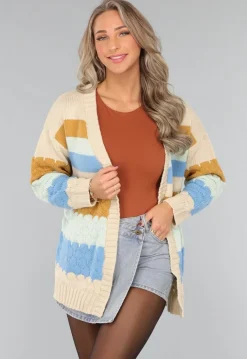 Gebreid Multicolor Cardigan Vest
