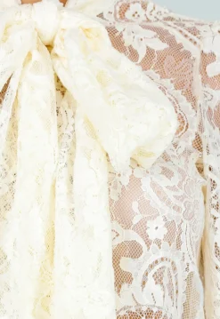 Lichtgele Transparante Kanten Blouse met Strikkraag en Lange Mouwen