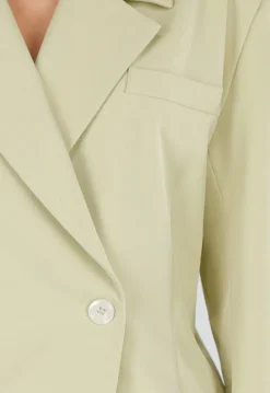 Pistache Groene Double Breasted Getailleerde Blazer met Reverskraag