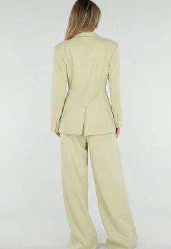 Pistache Groene Double Breasted Getailleerde Blazer met Reverskraag