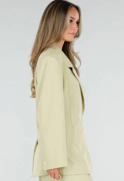 Pistache Groene Double Breasted Getailleerde Blazer met Reverskraag