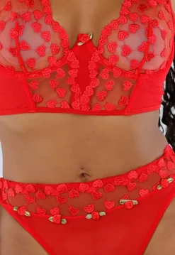 Rode Lingerie Set met Hartjes Mesh en Hoge Taille Slip