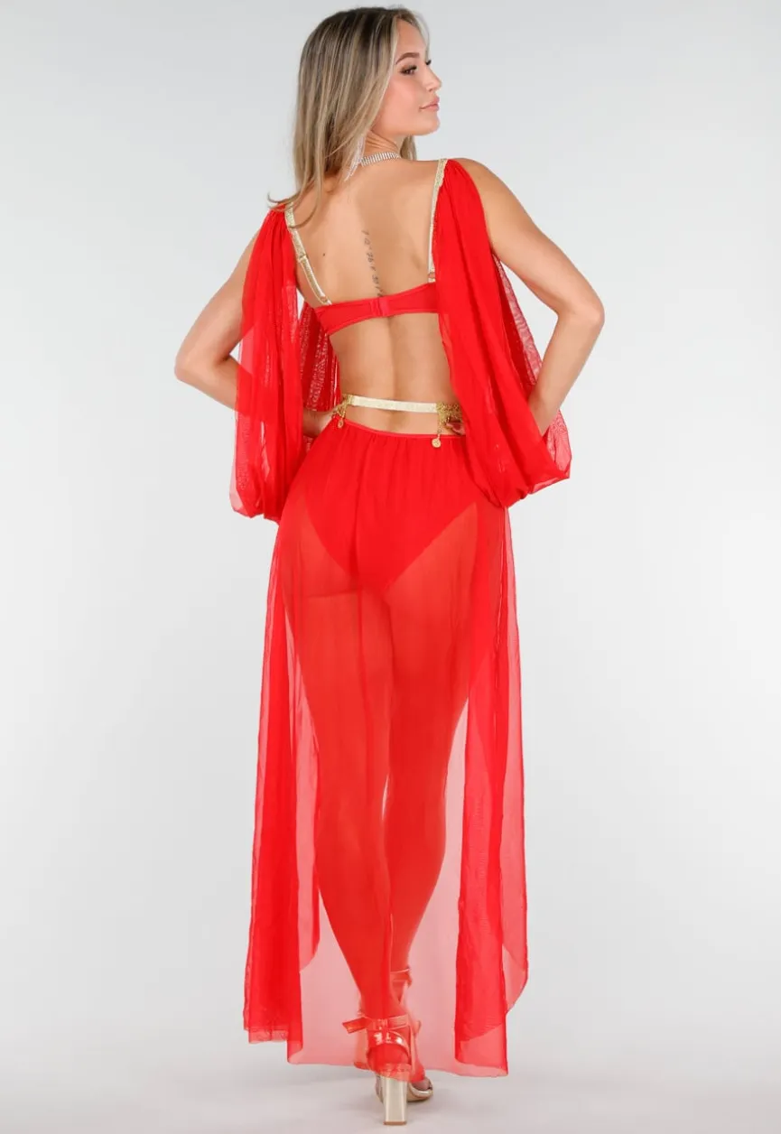 Rood Buikdanseres Kostuum met Gouden Accenten en Doorzichtige Rok