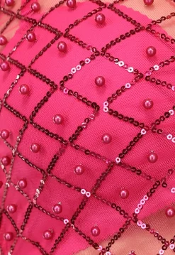Roze Mesh Parel Top met Korte Mouwen