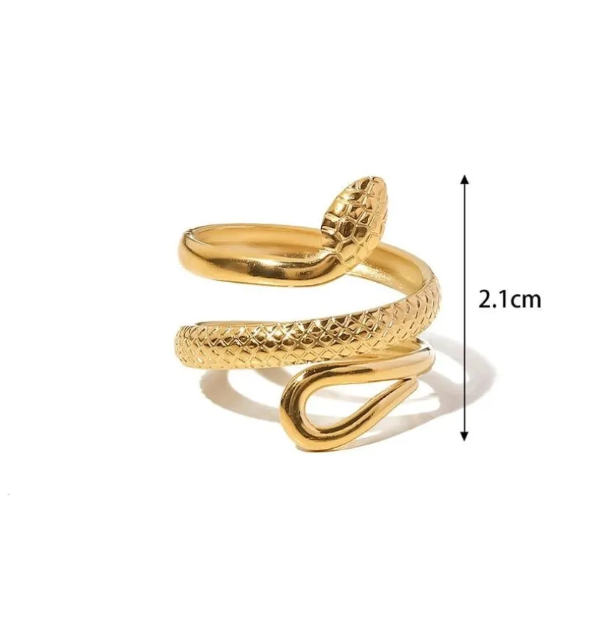 Stainless Steel Ring met Slangen Model