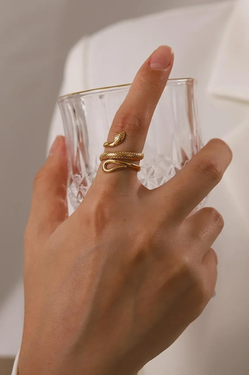 Stainless Steel Ring met Slangen Model