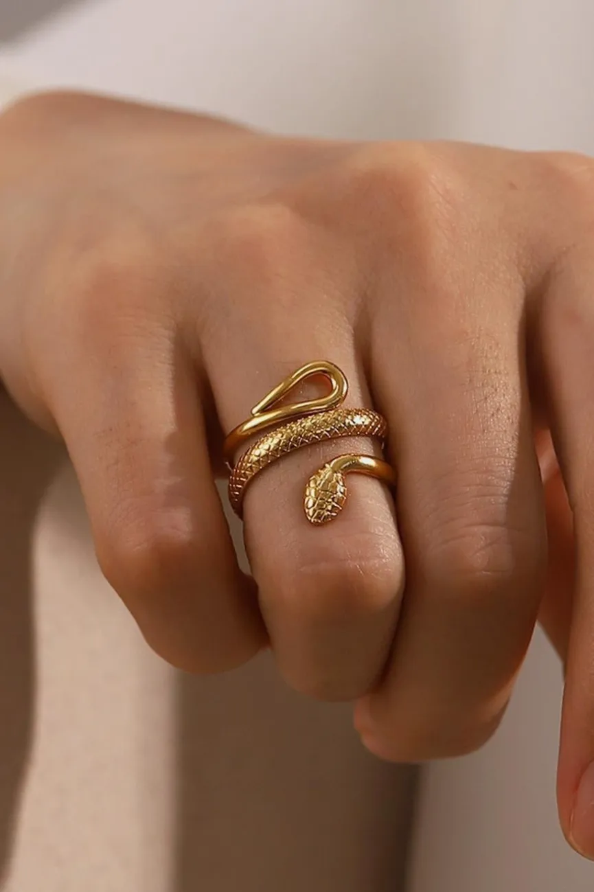 Stainless Steel Ring met Slangen Model