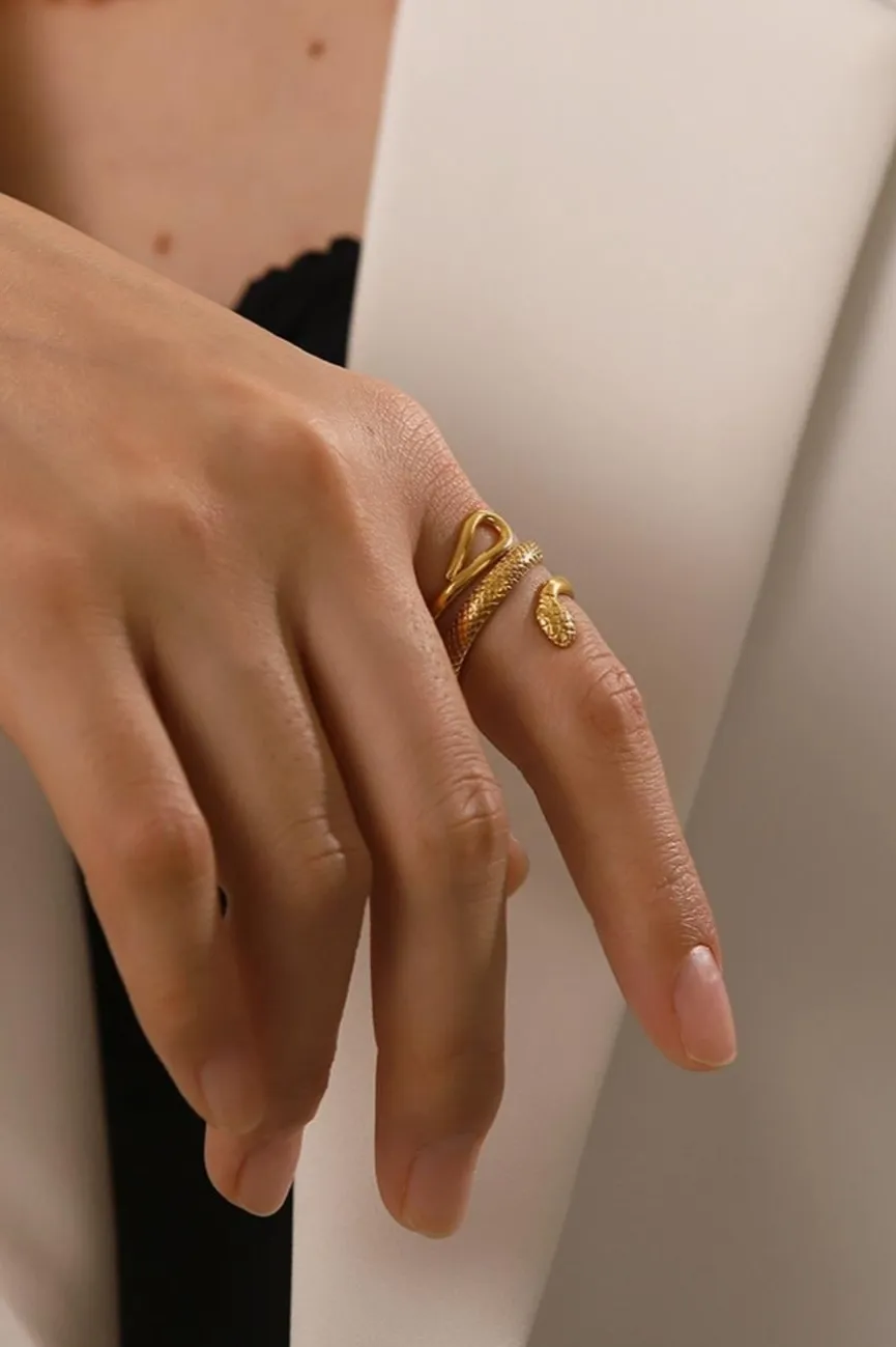 Stainless Steel Ring met Slangen Model