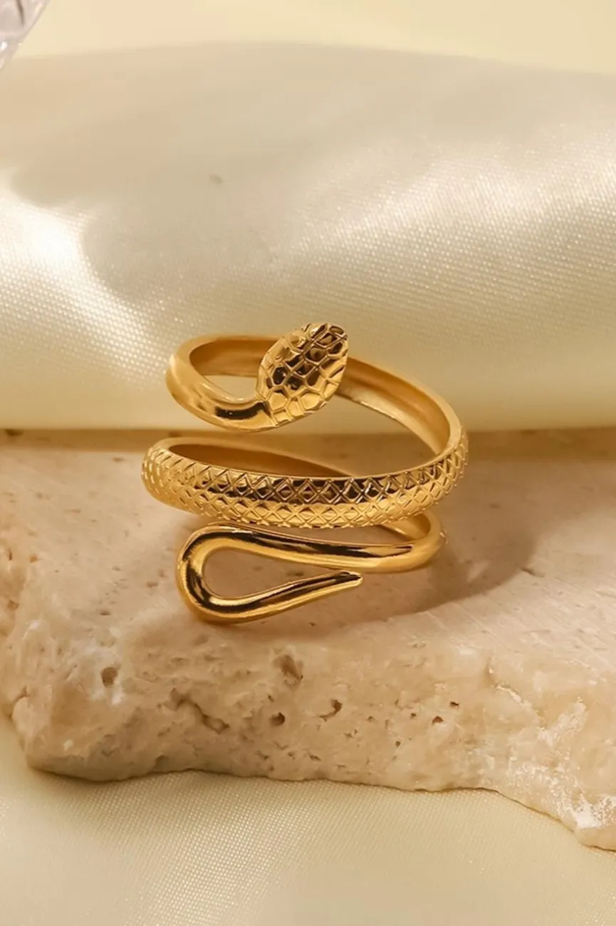 Stainless Steel Ring met Slangen Model