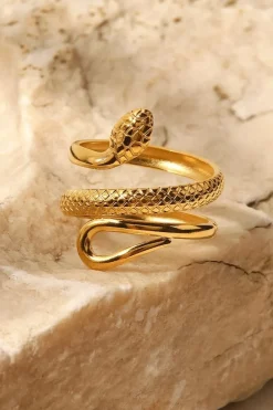 Stainless Steel Ring met Slangen Model
