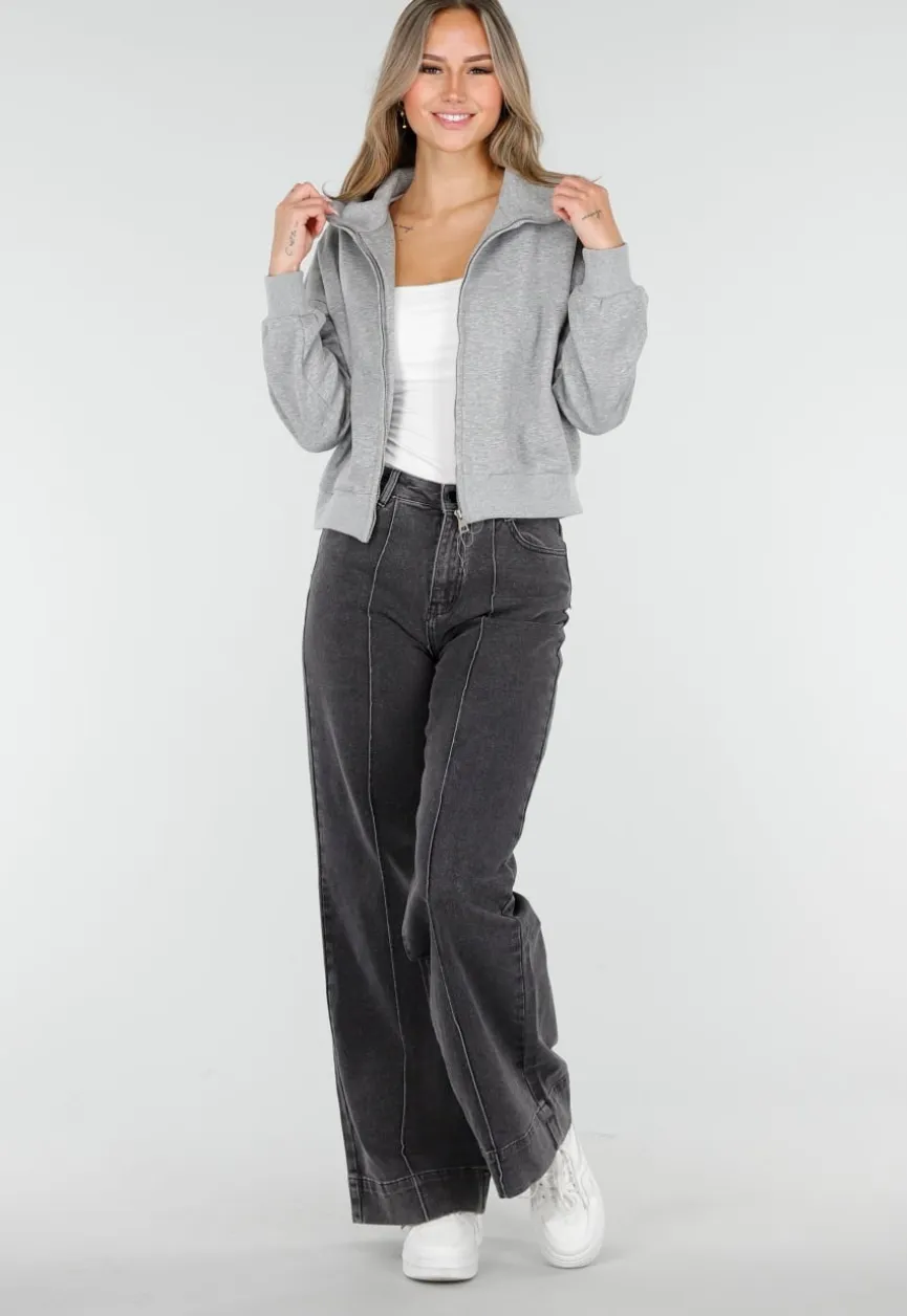 Sweatvest met Lange Mouwen in Grijs