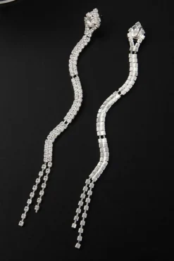Zilveren Strass Oorbellen met Slangen Model